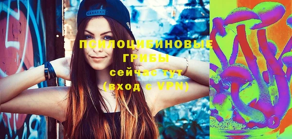 молекула духа Верхний Тагил