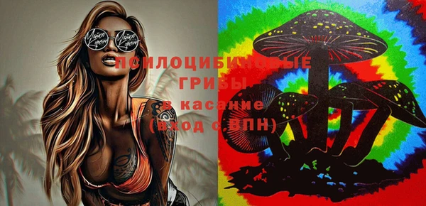 молекула духа Верхний Тагил